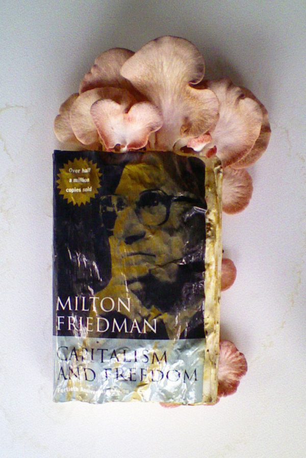 Jane Lawson — Islington Mill