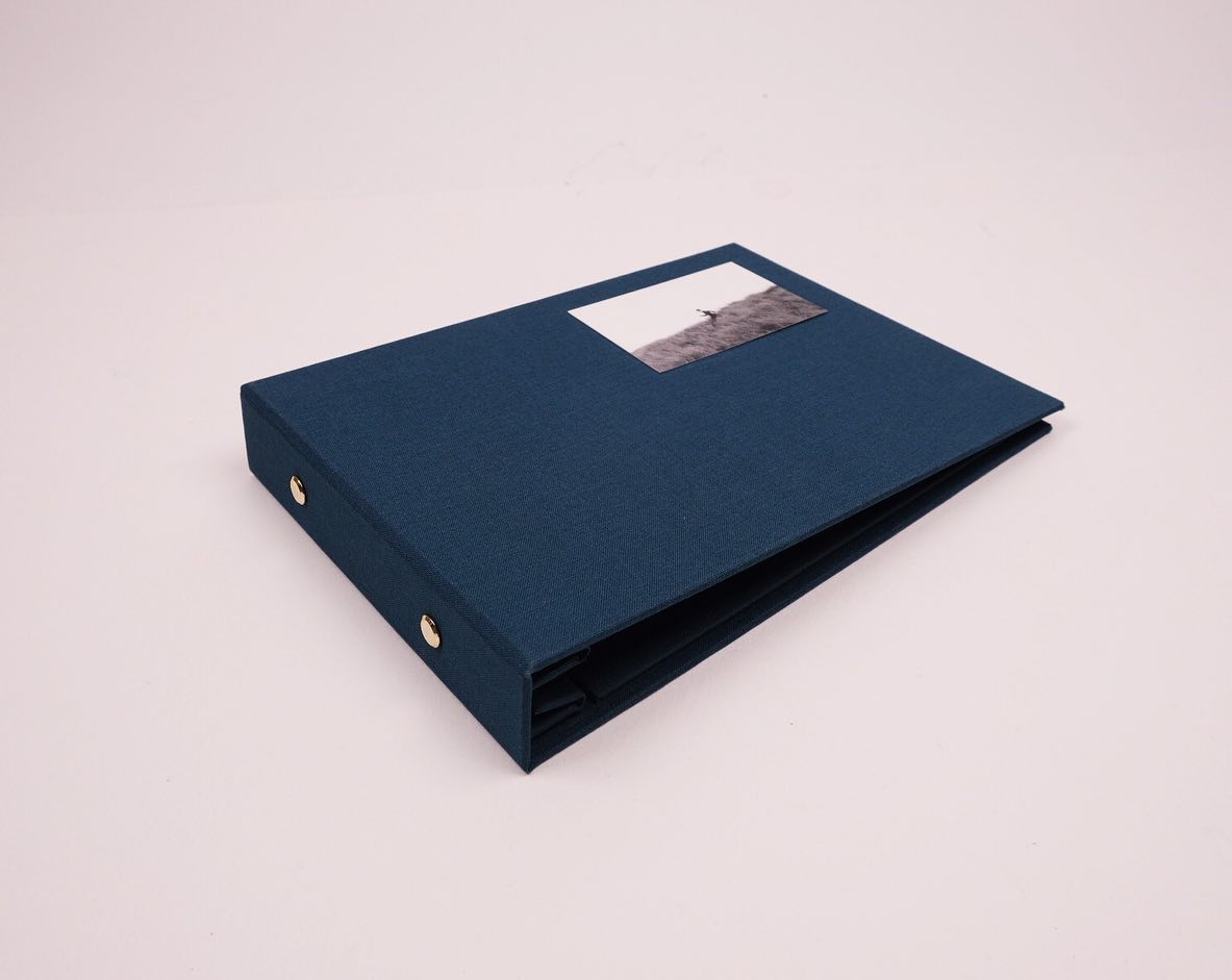 Rear Window Editions (Independent Publishing)