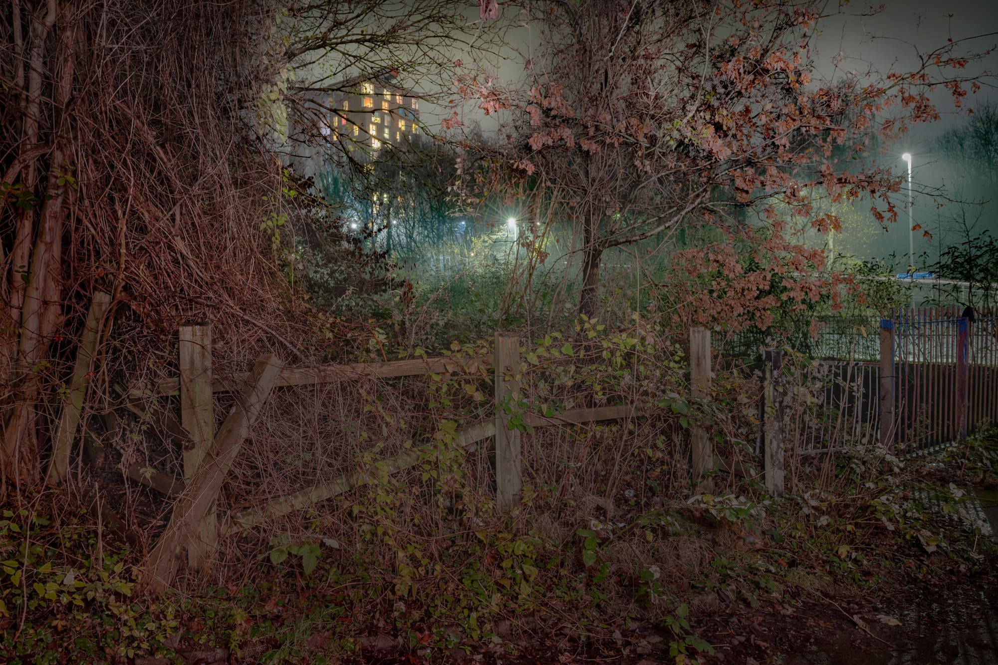 Not Quite Light (Photography)