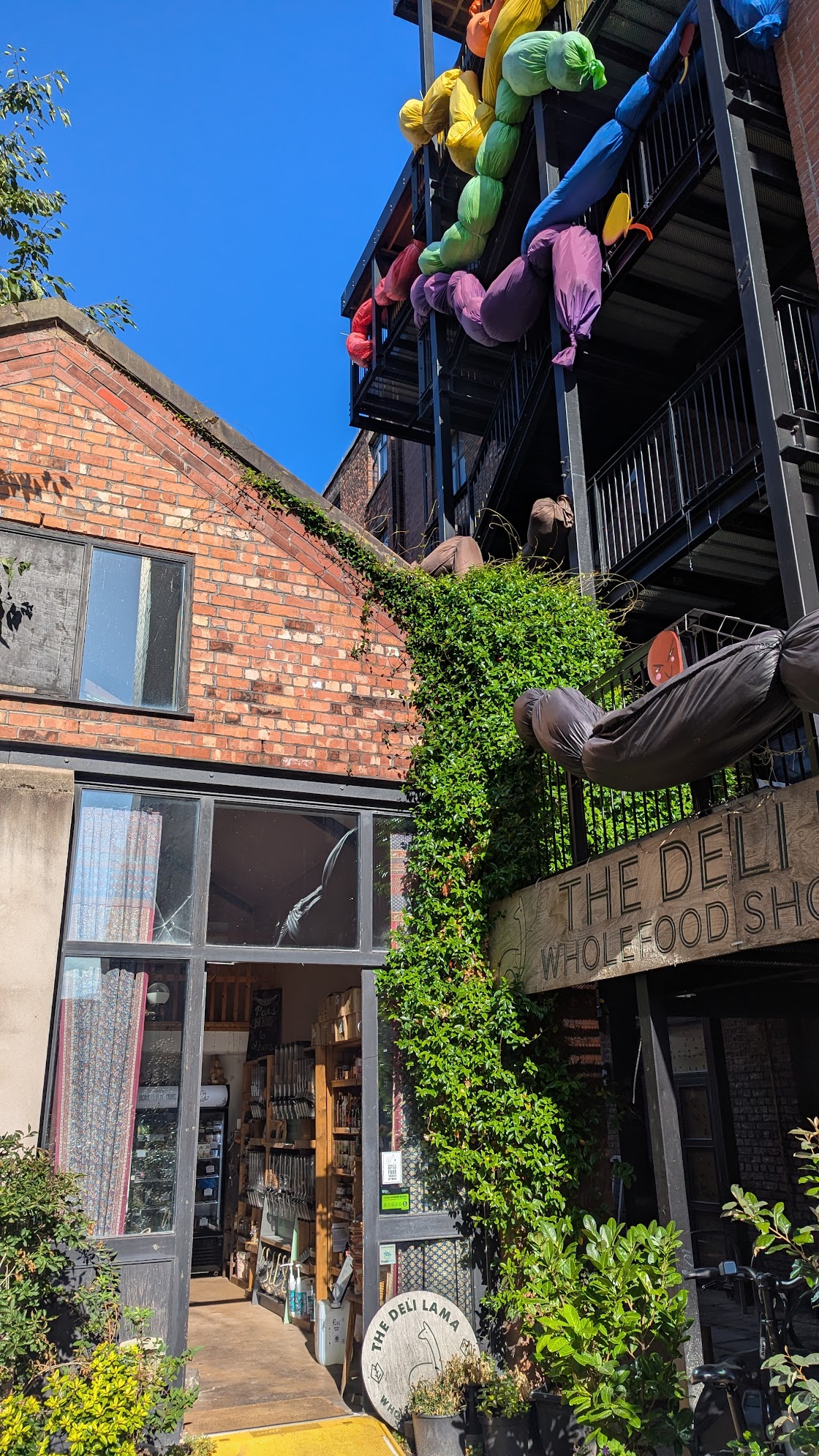 Deli Lama (Co-op & Cafe)